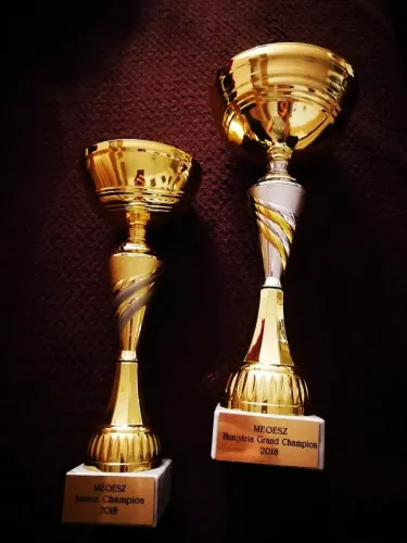 2 új champion