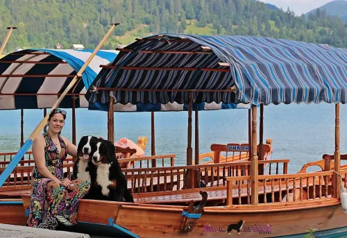 Bled kiállítás