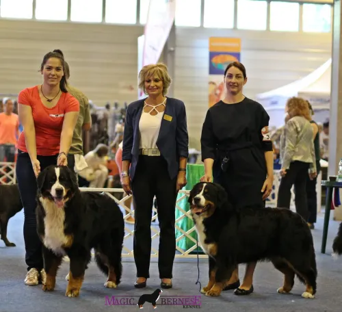Budapest Grand Prix CACIB