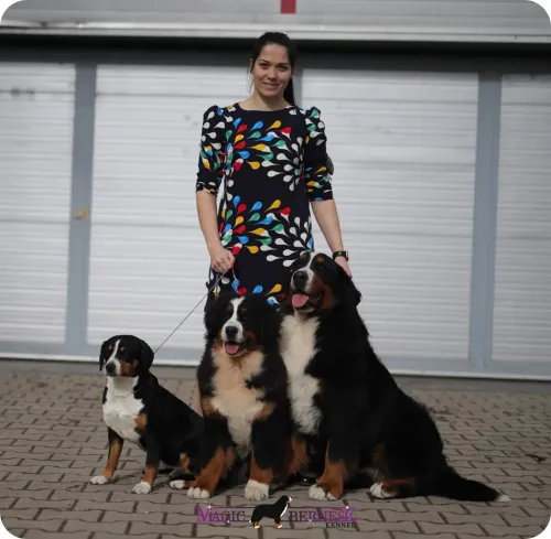 FeHoVa Winter CACIB