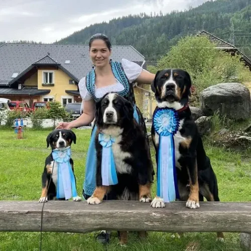 Olachgut Ausztria