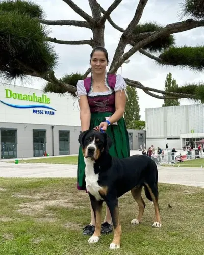 Tulln Ausztria