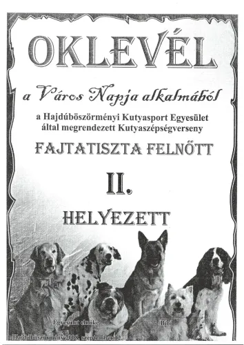 Városi kutyaszépségverseny