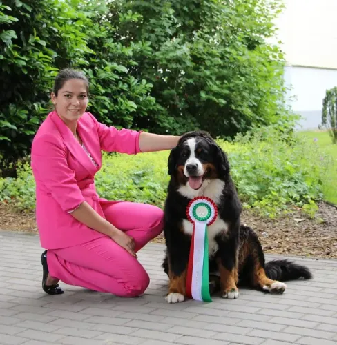 Budapest 2x CACIB Grand Prix