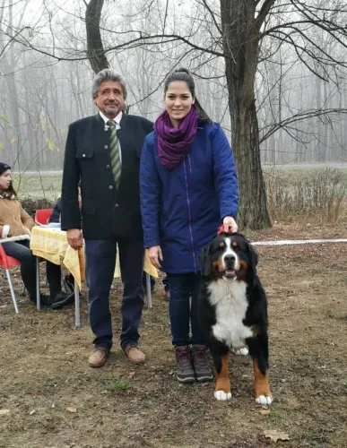 Tenyészszemle Alina