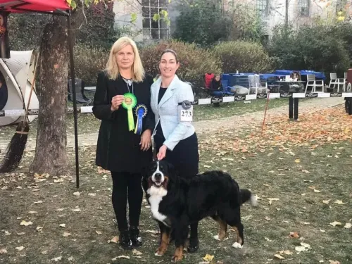 Déna Nagyvárad