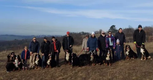 Év indító kennel séta