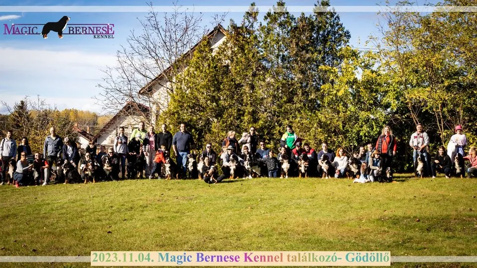 Kennel találkozó csoportkép