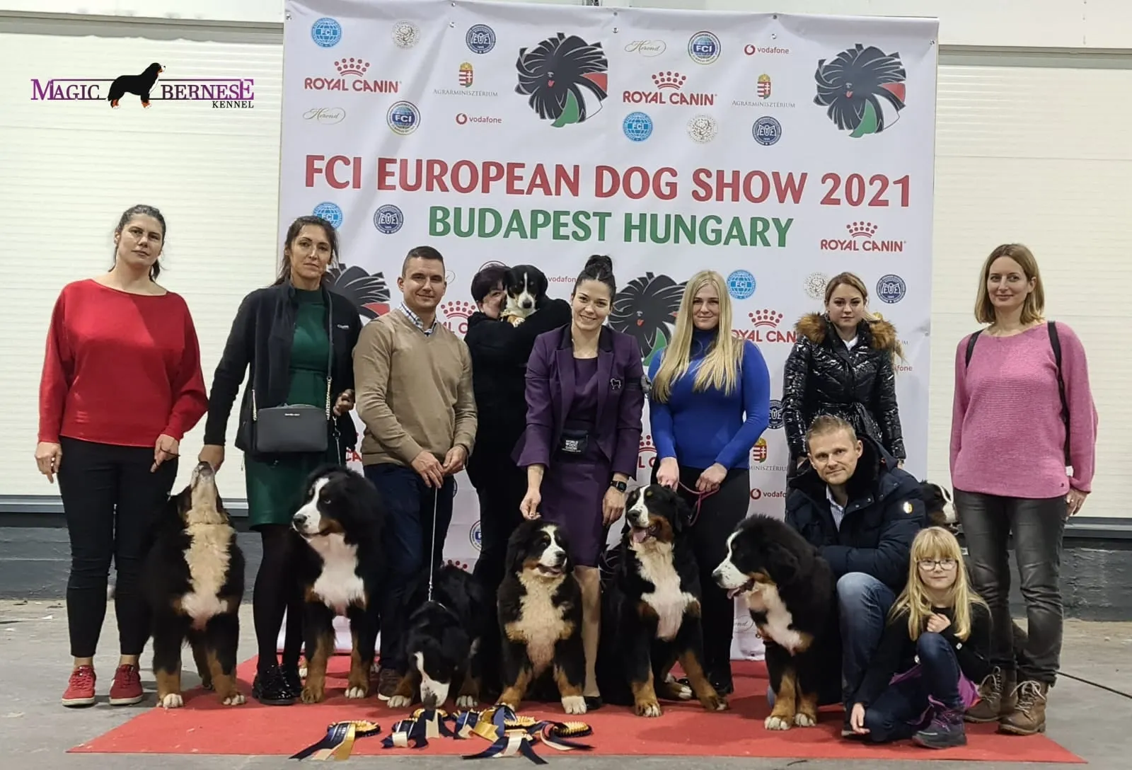 Magic Bernese berni pásztorkutya tenyészcsoport – Tenyészcsoport I. helyezés, Budapest - SHKME Európa Klubkiállítás CAC, 2021