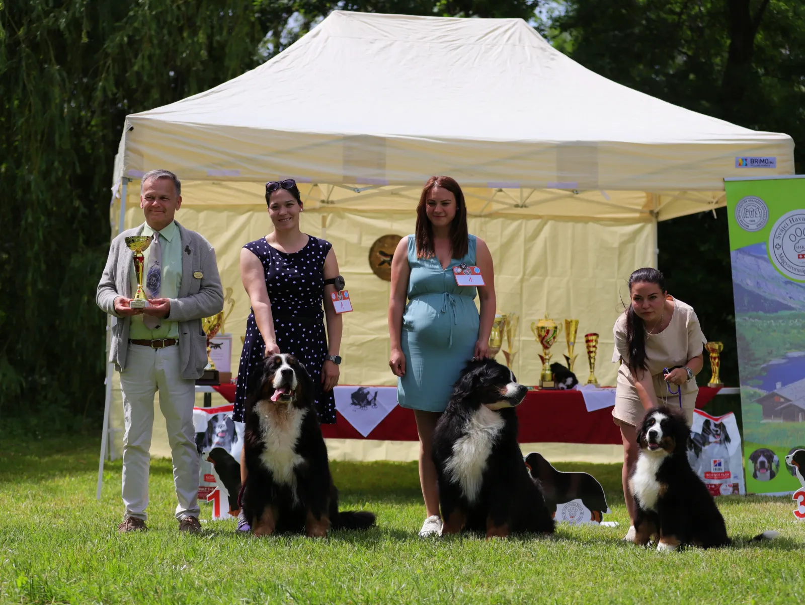 Magic Bernese berni pásztorkutya tenyészcsoport – Tenyészcsoport I. helyezés, SHKME Klub CAC Balaton Trophy -Fonyód, 2026
