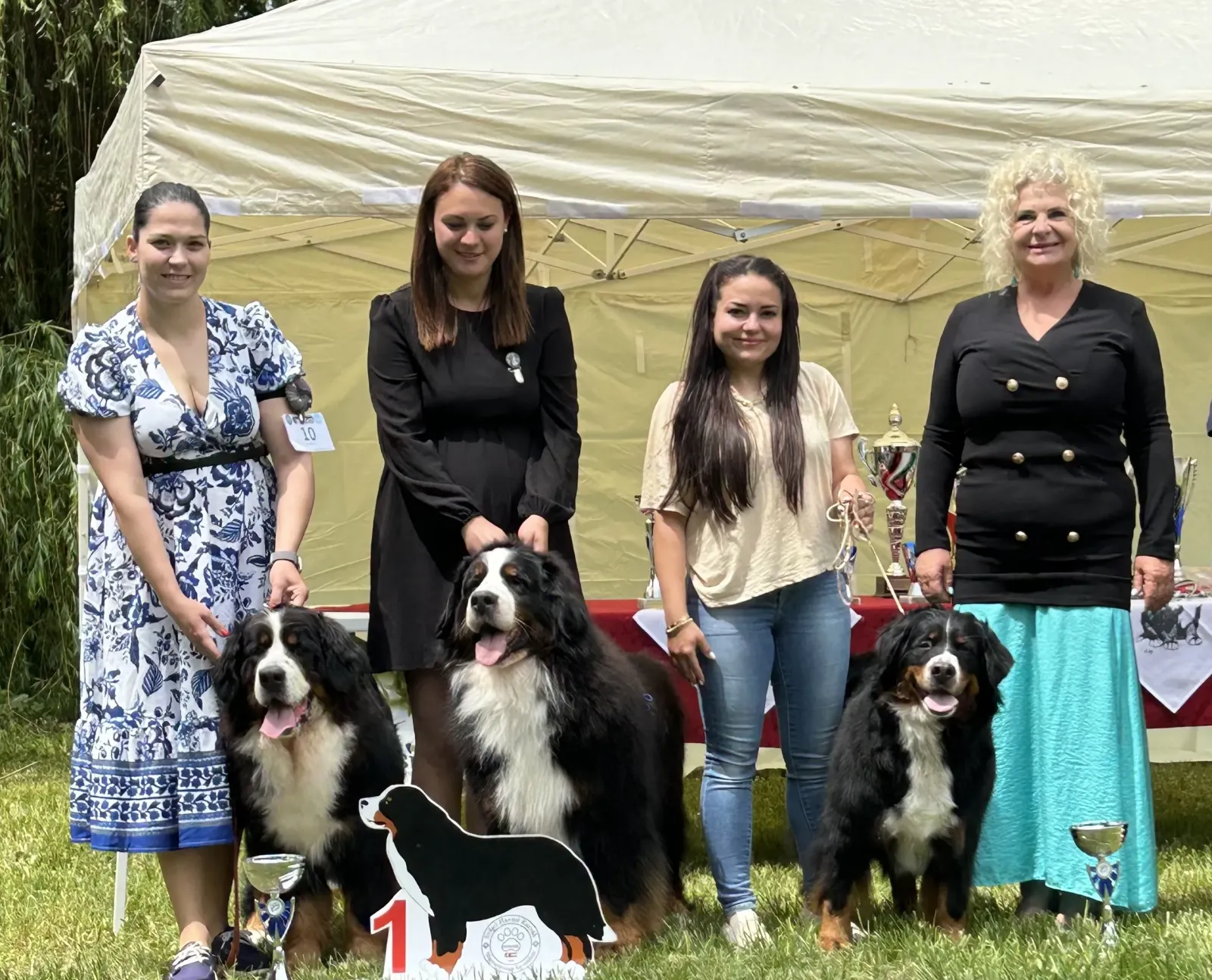 Magic Bernese berni pásztorkutya tenyészcsoport – Tenyészcsoport I. helyezés, SHKME Speciál CAC Balaton Trophy -Fonyód, 2026