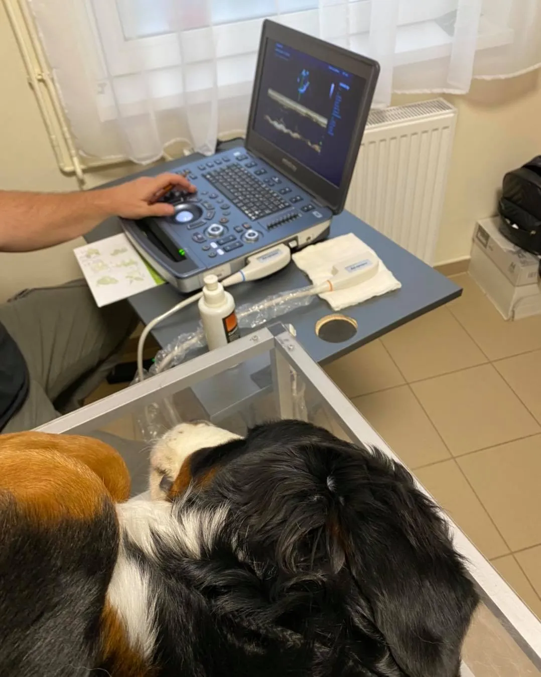 Kardiológiai ultrahang vizsgálat