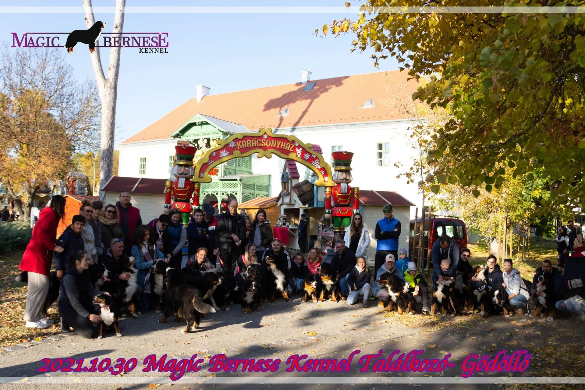 Magic Bernese Family