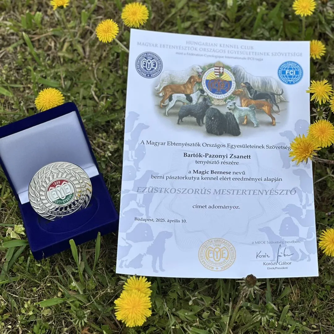 Ezüstkoszorús Mestertenyésztői oklevél és plakett