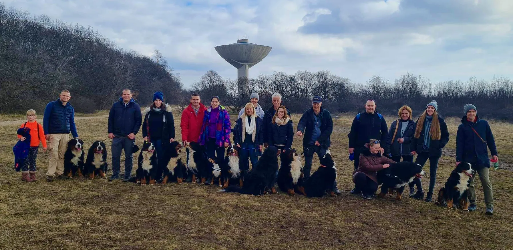 Magic Bernese Family