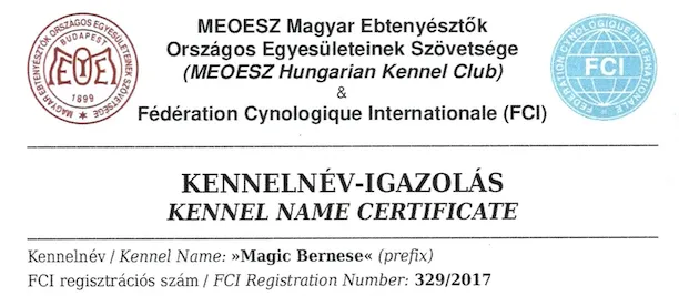 Kennel név igazolás
