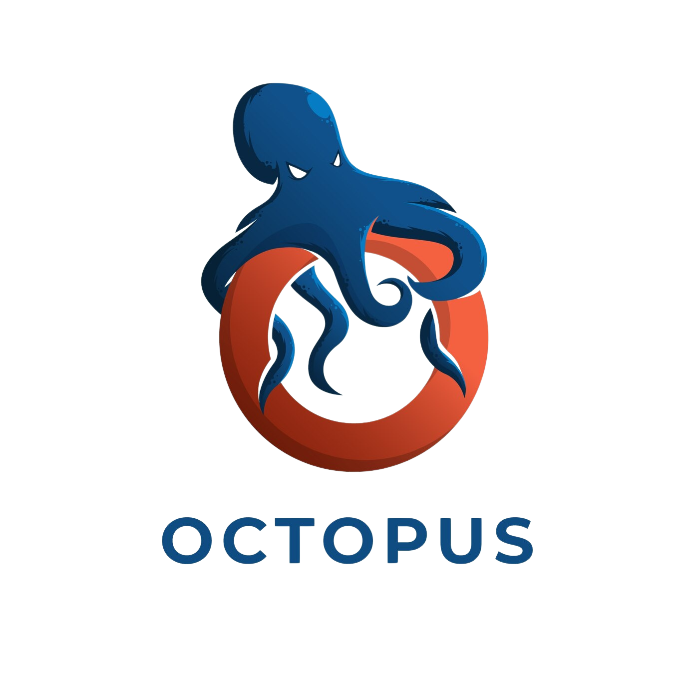Octopus 2.0