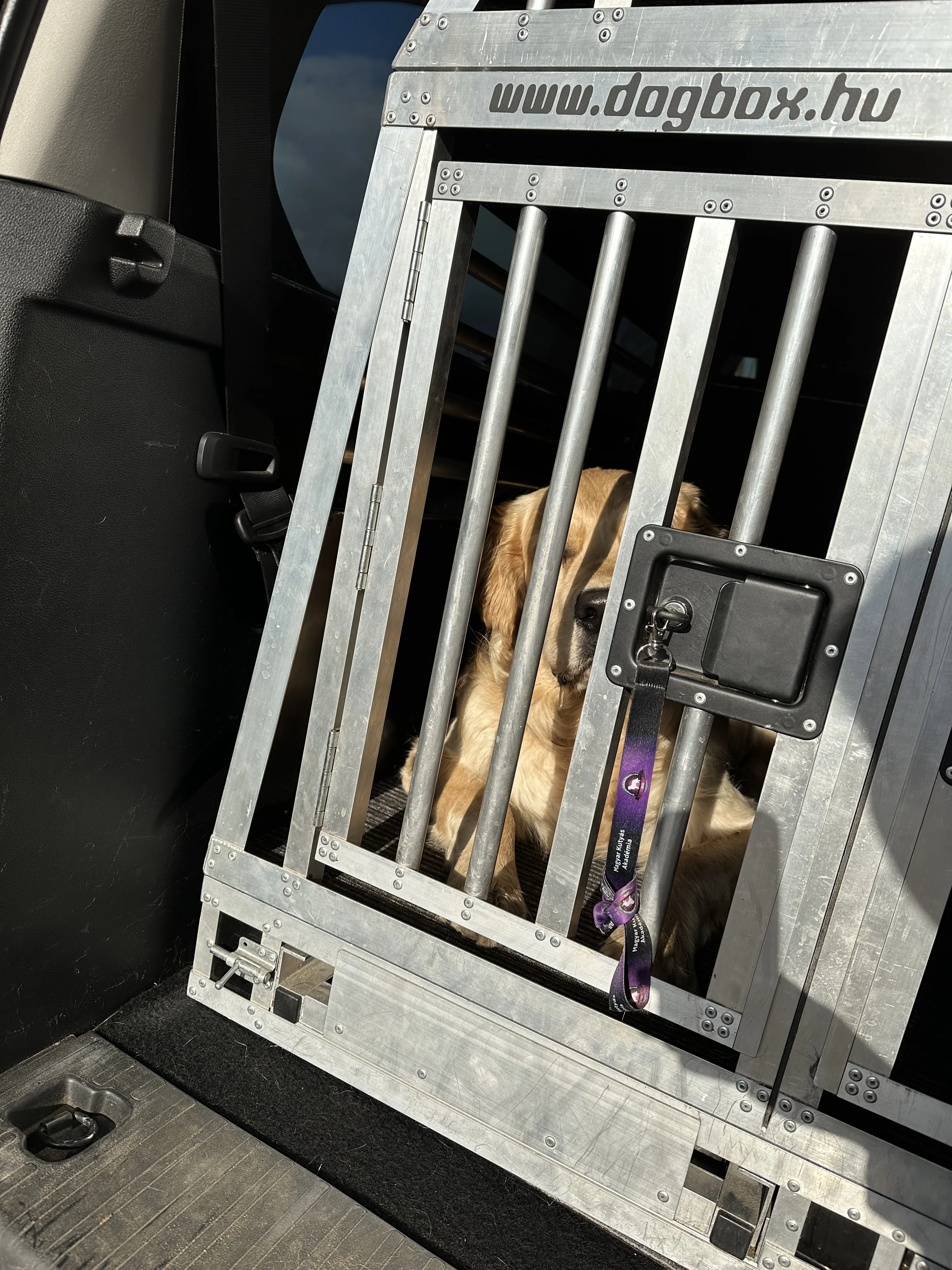 Rugalmas szolgáltatások